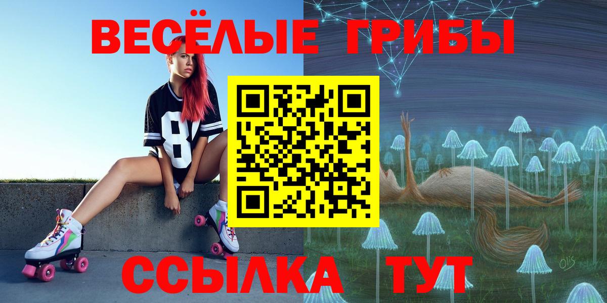 Псилоцибиновые грибы GOLDEN TEACHER Кирово-Чепецк